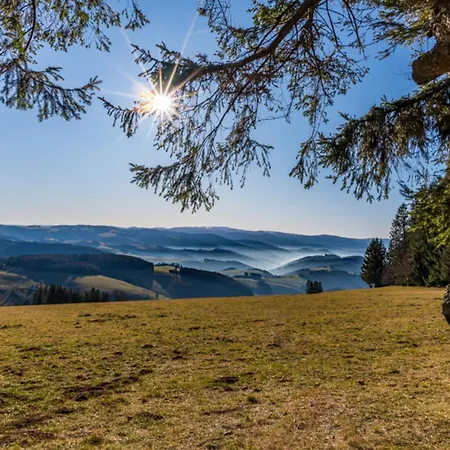 Schwarzwaldhaus Wiesenblick - App 