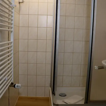 Διαμέρισμα Schwarzwaldhaus Wiesenblick - App 