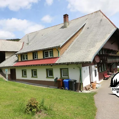 Διαμέρισμα Schwarzwaldhaus Wiesenblick - App 